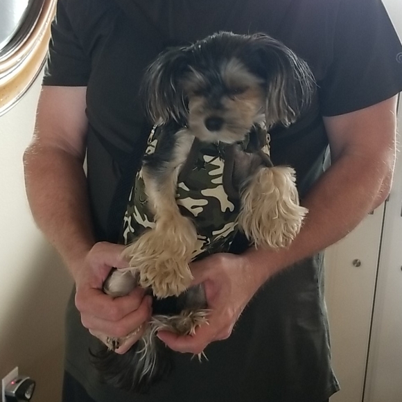 Camo Doggie puppacks 8 to 10 pound max - Picture 5 of 8